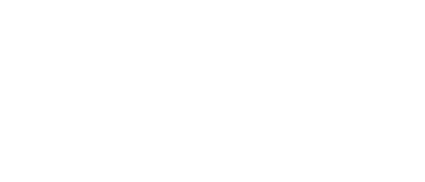Toruns Medica Ana Logo kopya 2
